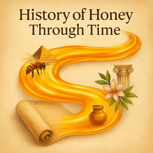 Illustration of honey's history across ancient cultures with wellness symbols.